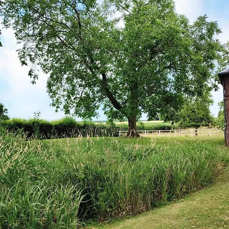 De France - Ferme Des Marronniers Holiday home *