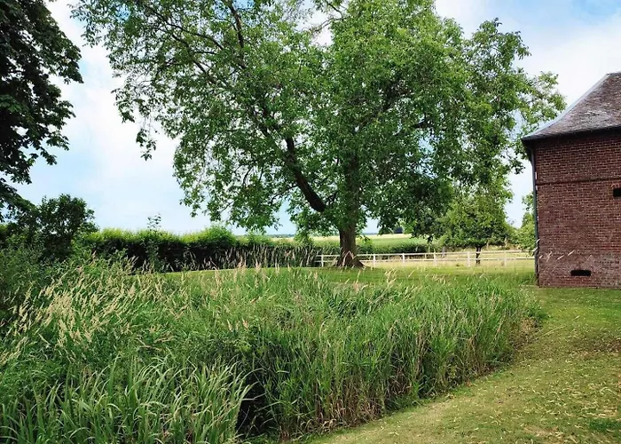 De France - Ferme Des Marronniers Holiday home *